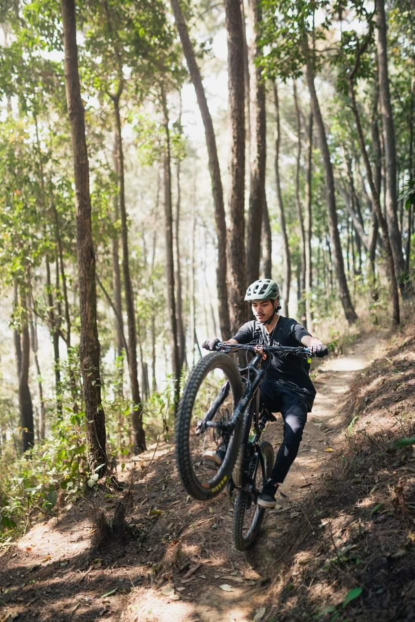 The Top 5 Benefits of a Bike Tune: Why You Should Get Your Bike Serviced Regularly